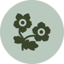 Plantas e Flores