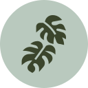 Plantas para Jardim
